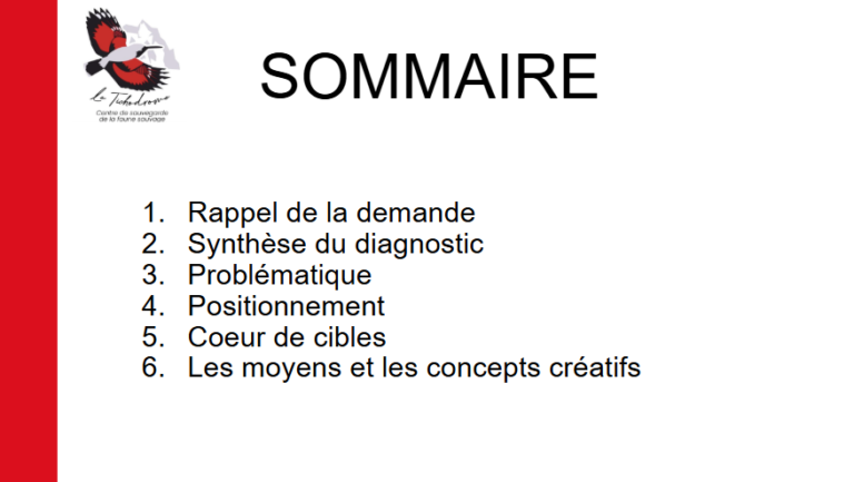 Capture d'écran 2025-03-24 022017