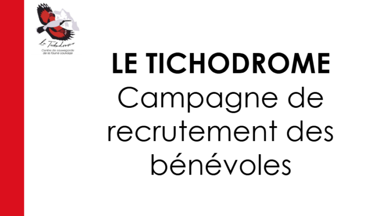 Capture d'écran 2025-03-24 022028