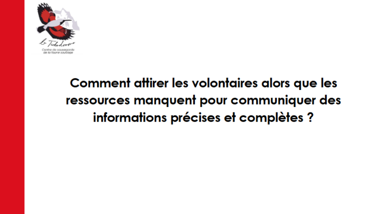 Capture d'écran 2025-03-24 022053