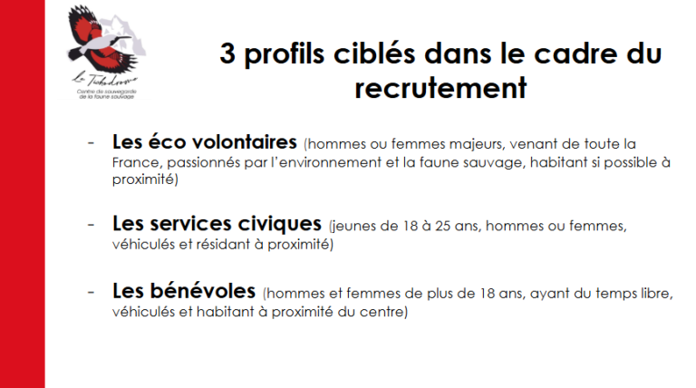 Capture d'écran 2025-03-24 022112