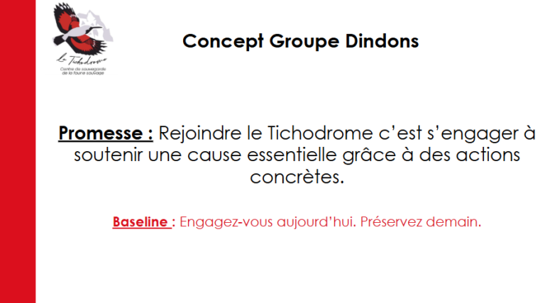 Capture d'écran 2025-03-24 022131