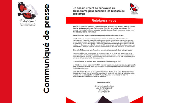 Capture d'écran 2025-03-24 022146