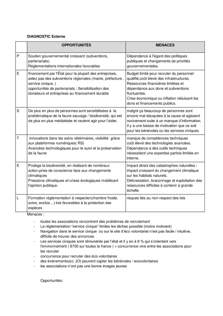 diagnostic interne & externe 1