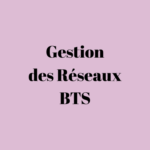 Réseaux Sociaux – BTS Communication